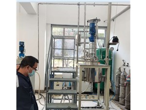 2L&10L超臨界反應系統已順利完工發(fā)往濱州客戶(hù)處