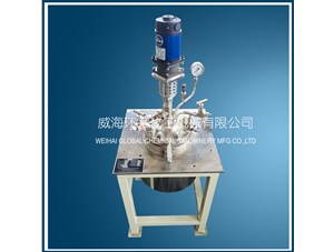 1L電加熱不銹鋼SS316L反應釜已順利完工即將發(fā)往俄羅斯客戶(hù)處