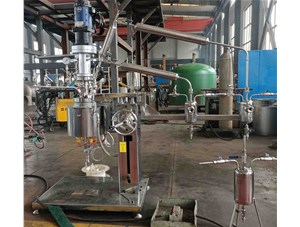 1L實(shí)驗室 酯化縮聚 反應釜 已完工發(fā)往北京