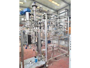 20L聚合反應系統 中試反應裝置 已完工發(fā)往上海